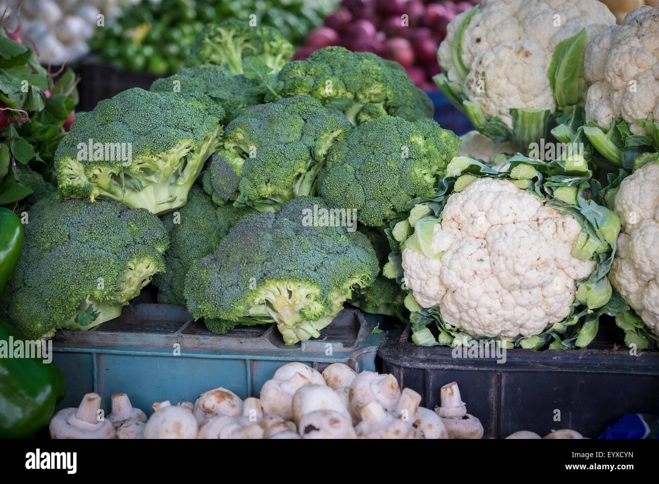 Produrre come broccoli, cauli fiore, funghi sulla visualizzazione delle vendite al mercato degli agricoltori,Bucerias, Nayarit, Messico Foto Stock