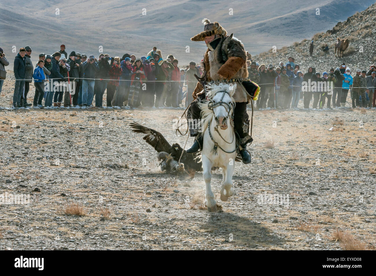 Il kazako eagle hunter di traino di un fox pelle esca per il suo golden eagle Eagle Festival, Olgii, Mongolia occidentale Foto Stock