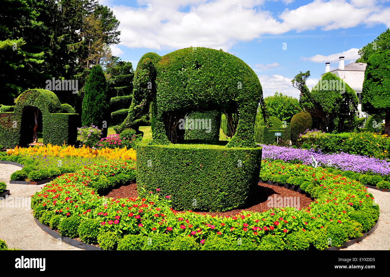 Portsmouth, Rhode Island: Topiaria da elefante e gli alberi ad animali Verde Giardini Topiaria da * Foto Stock