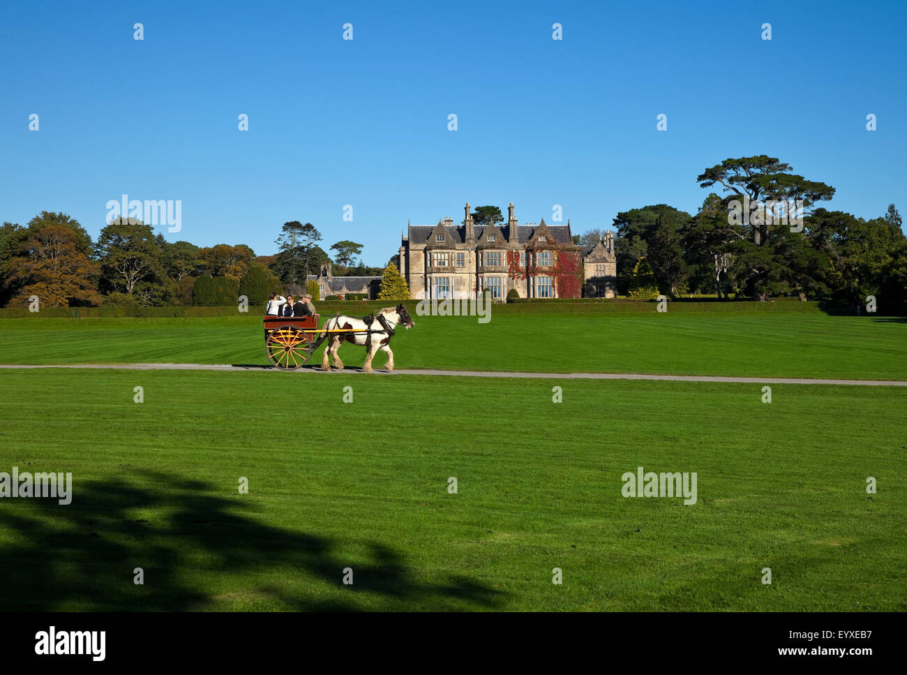 Jaunting Car di Muckross House costruito nel 1843, ora il Kerry Folklife Center, Parco Nazionale di Killarney, nella contea di Kerry, Irlanda Foto Stock