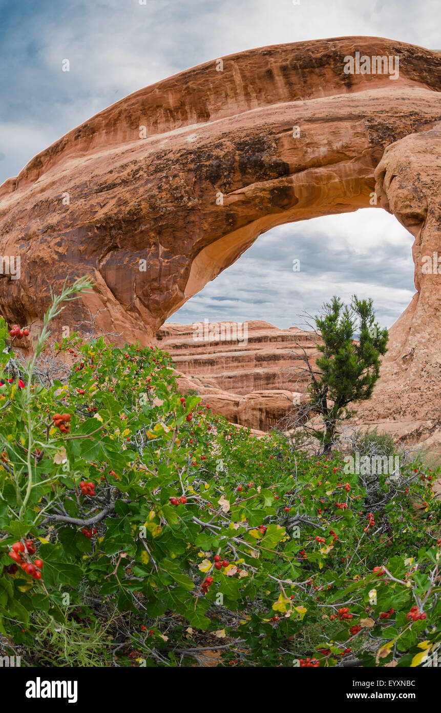 Vista della partizione Arch lungo il Devils Garden Trail nel Parco Nazionale di Arches Foto Stock