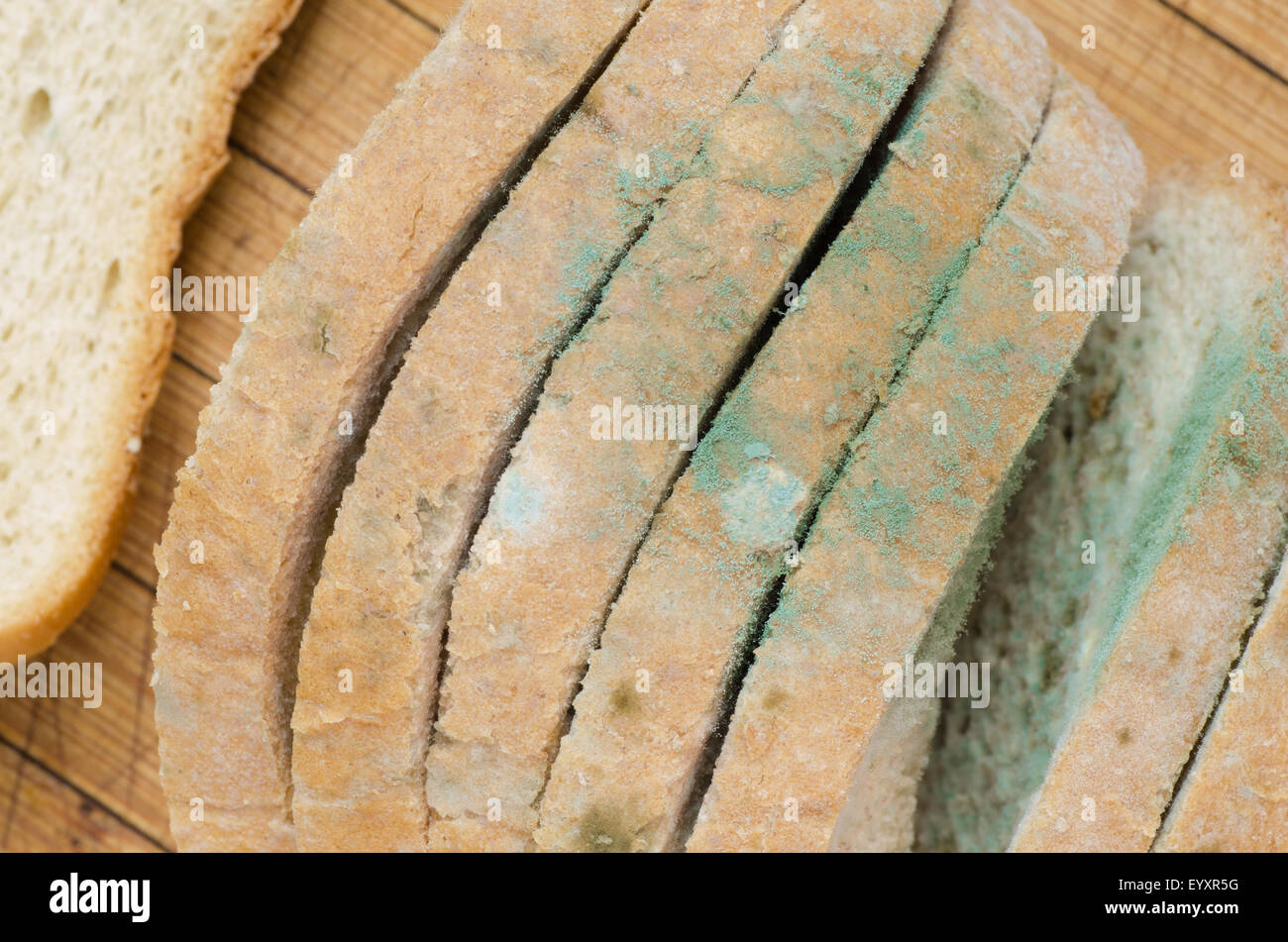 Ammuffito pane tagliato a fette e su sfondo di legno Foto Stock