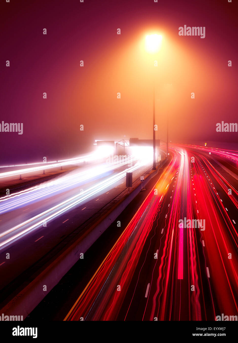 Autostrada trafficata traffico sentieri di luce in una notte nebbiosa, Highway 401, Toronto, Ontario, Canada. Foto Stock
