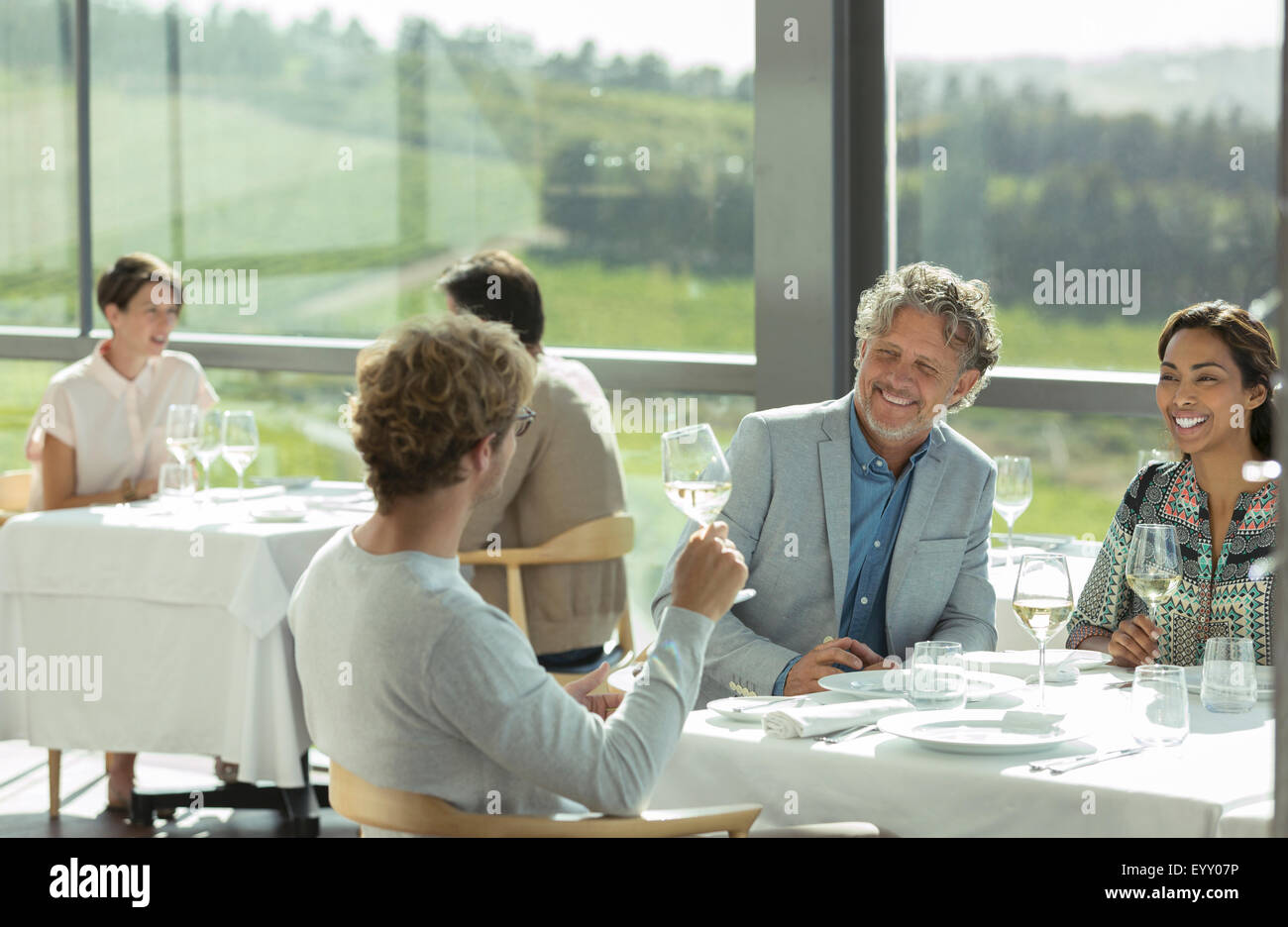 Gli amici a bere vino e a parlare in cantina sala da pranzo Foto Stock