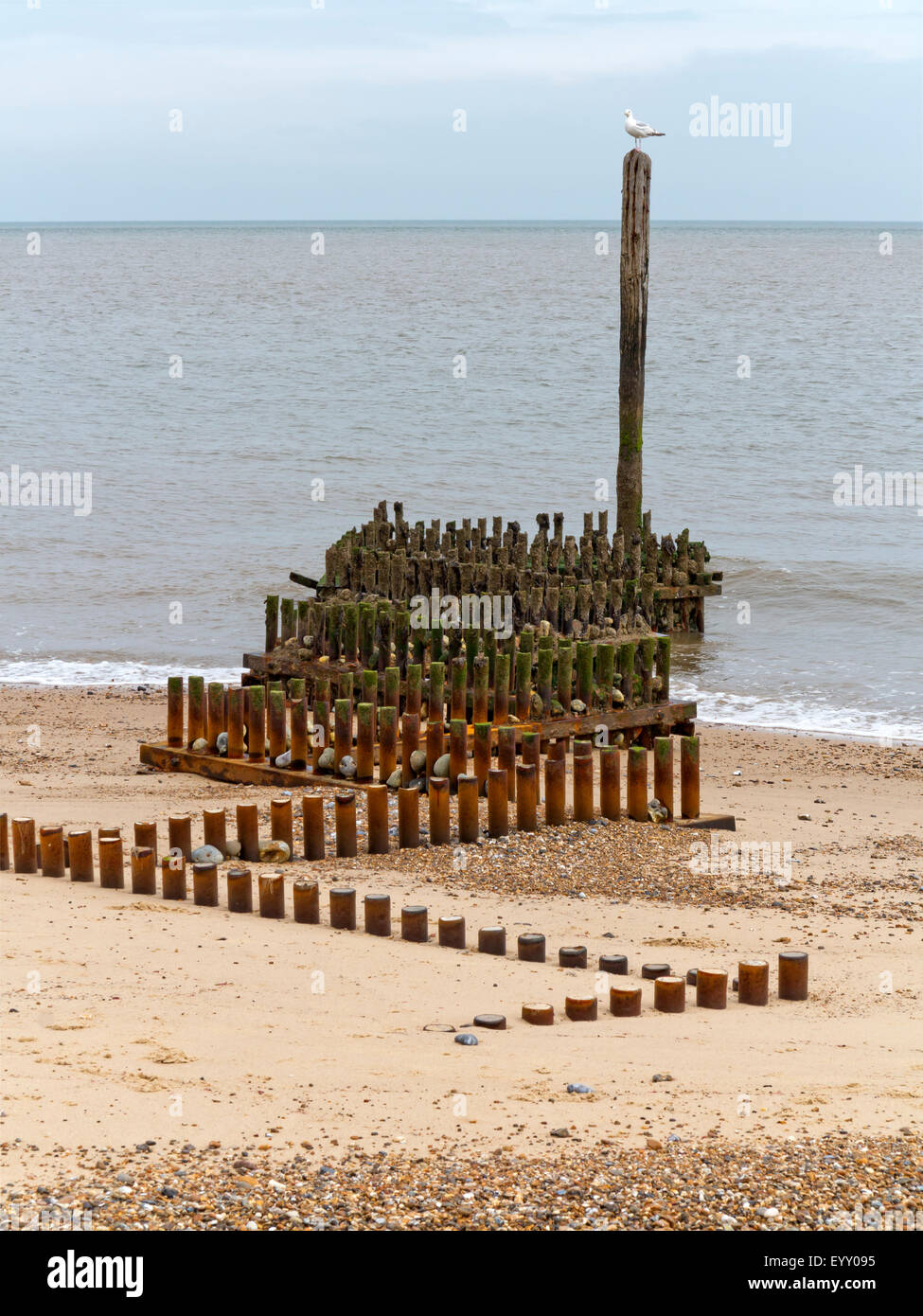 Pennelli in metallo ricoperto di alghe zigzagando in mare su una spiaggia di Norfolk Foto Stock