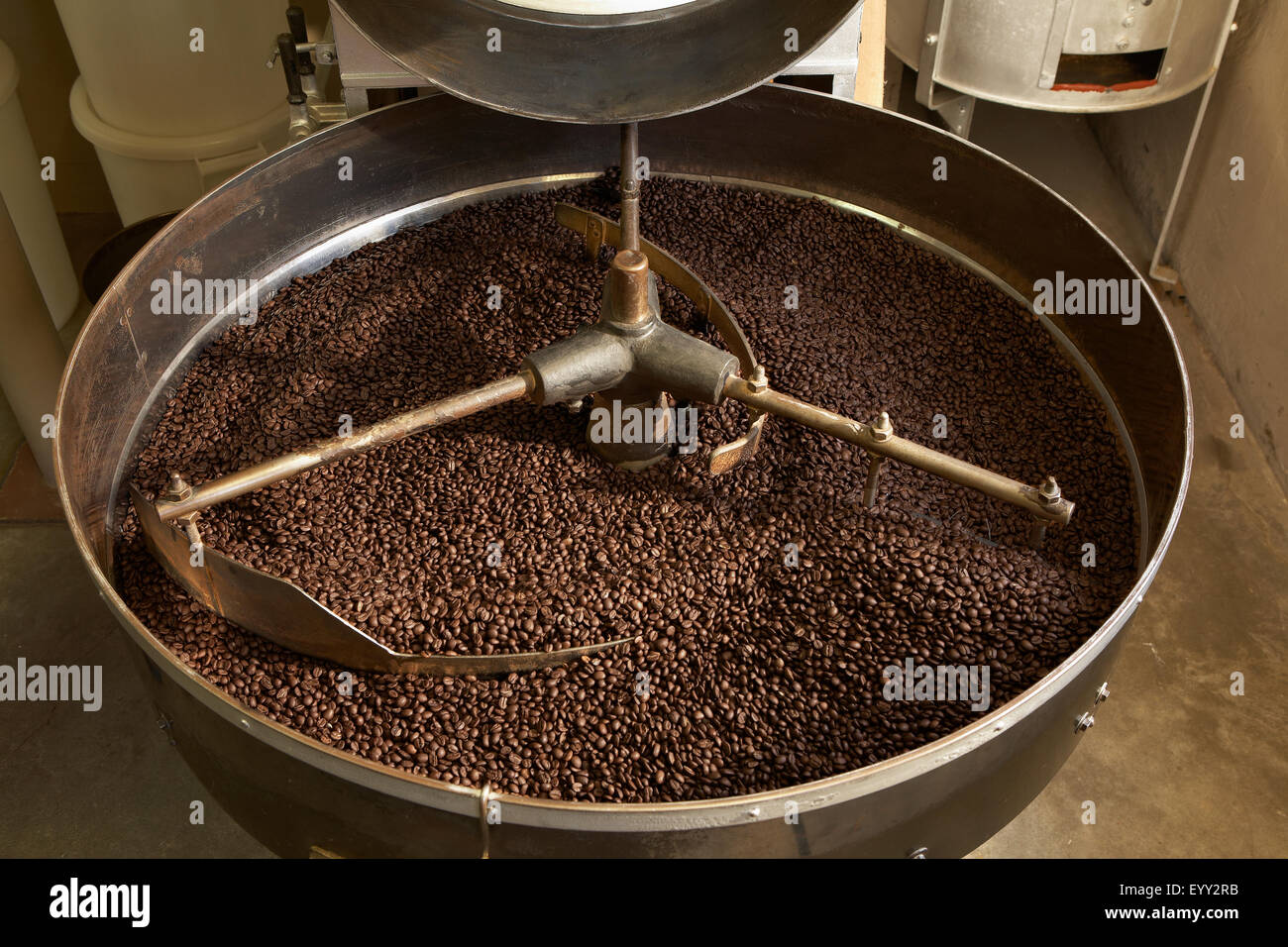 I chicchi di caffè La tostatura nel bollitore industriale Foto Stock