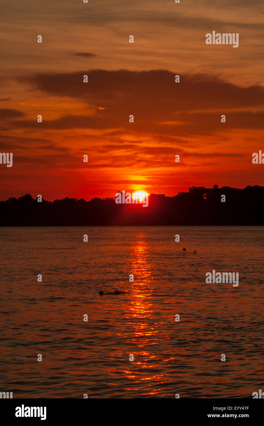 Tramonto sul fiume Cuiaba, Pantanal, Brasile Foto Stock