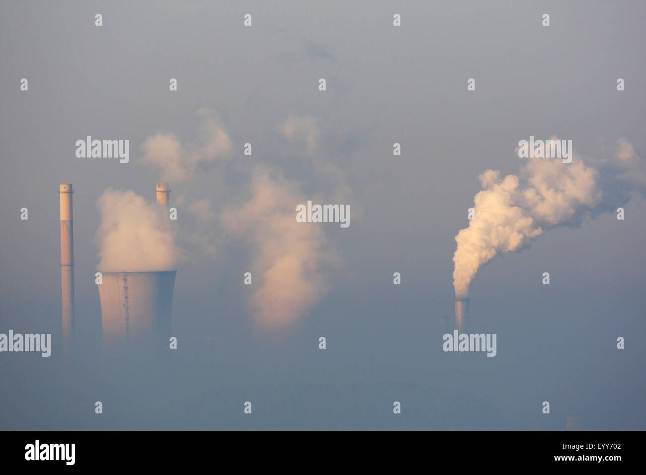 Impianto di potenza elettrica da parte di sunrise nella nebbia, Belgio Foto Stock