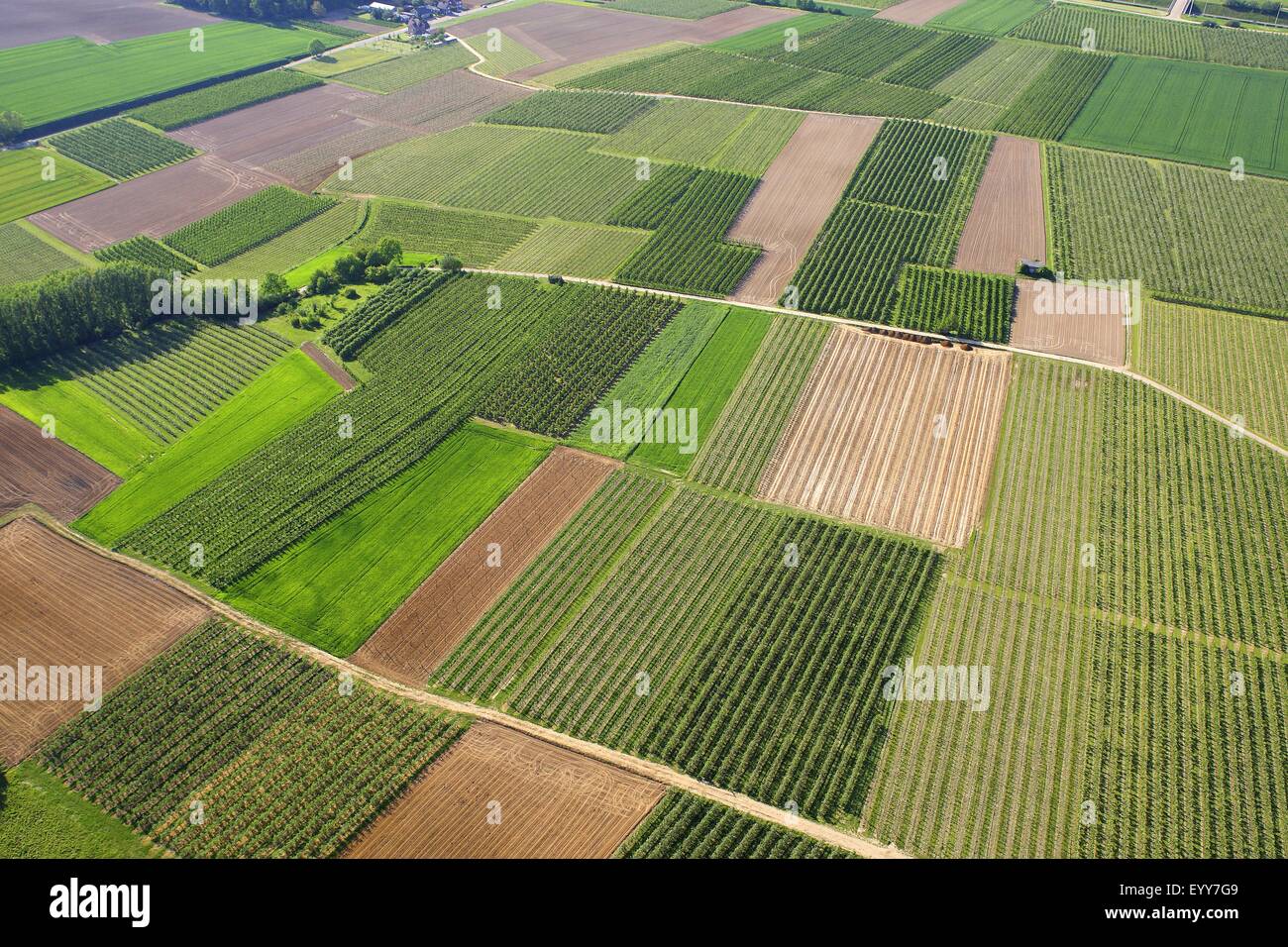 Zona agricola con i campi, le praterie e i percorsi dall'aria, Belgio Foto Stock