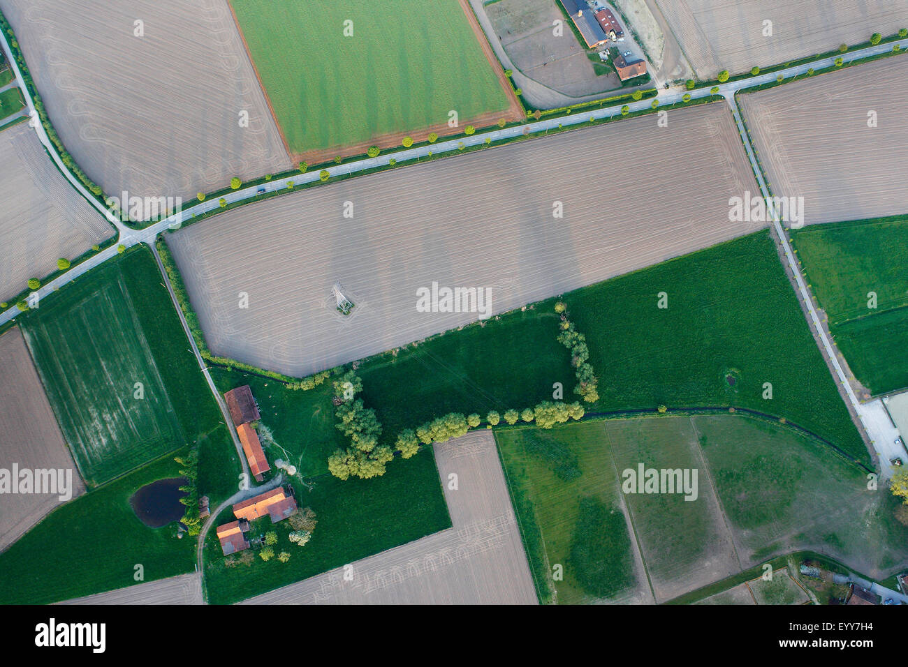 Vista aerea di zona agricola con i campi, le praterie e lungo le siepi, Belgio Foto Stock