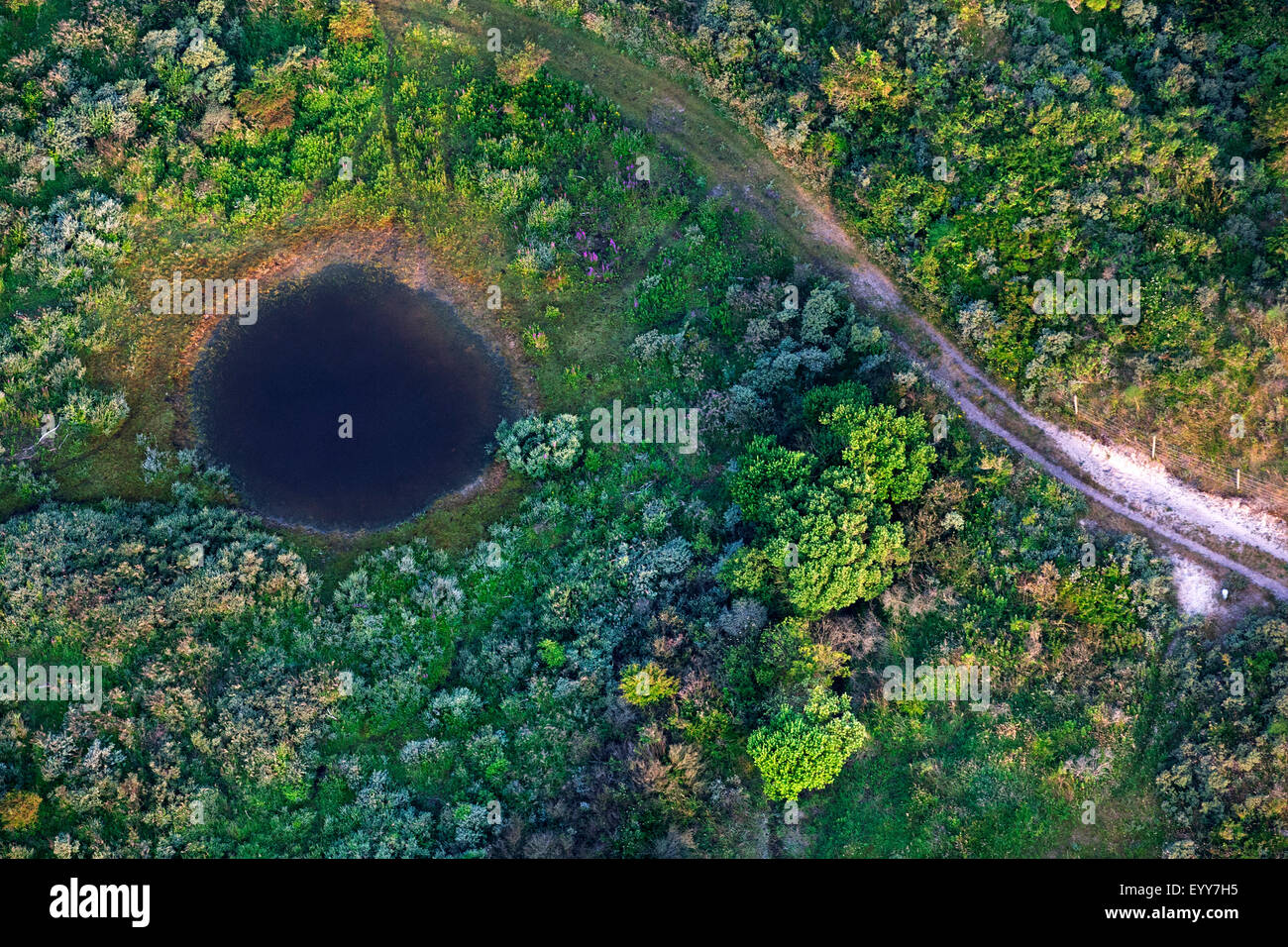 Vista aerea di stagno nel paesaggio di dune, Belgio Fiandre Foto Stock