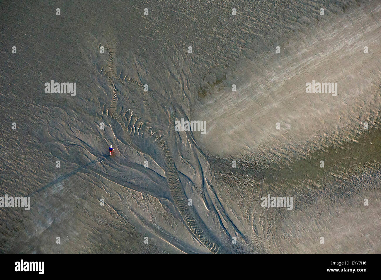 Vista aerea di wanderer sulla costa del Mare del Nord, Belgio, Fiandre Foto Stock