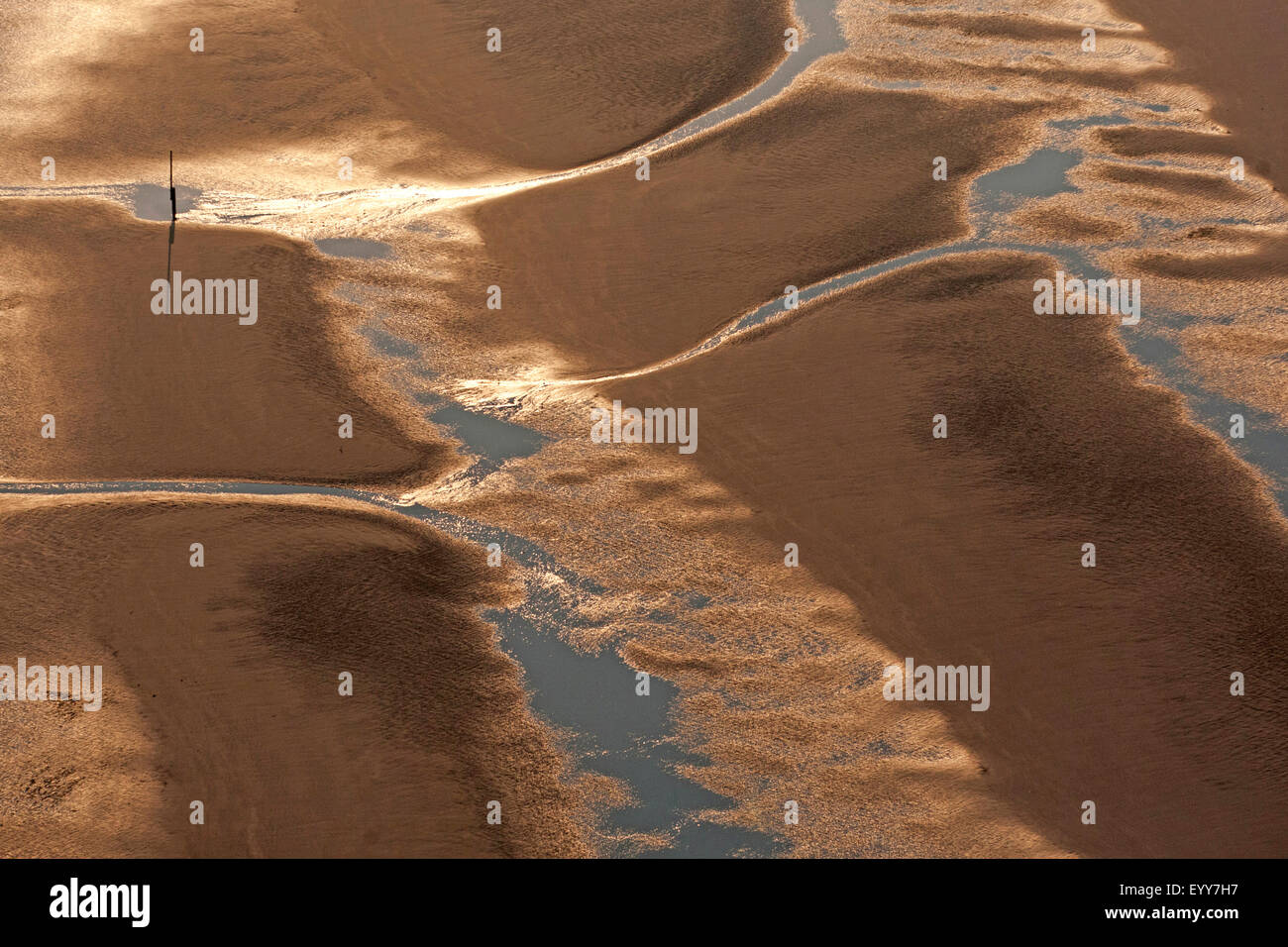 Vista aerea al sabbioso litorale del Mare del Nord, Belgio, Fiandre Foto Stock