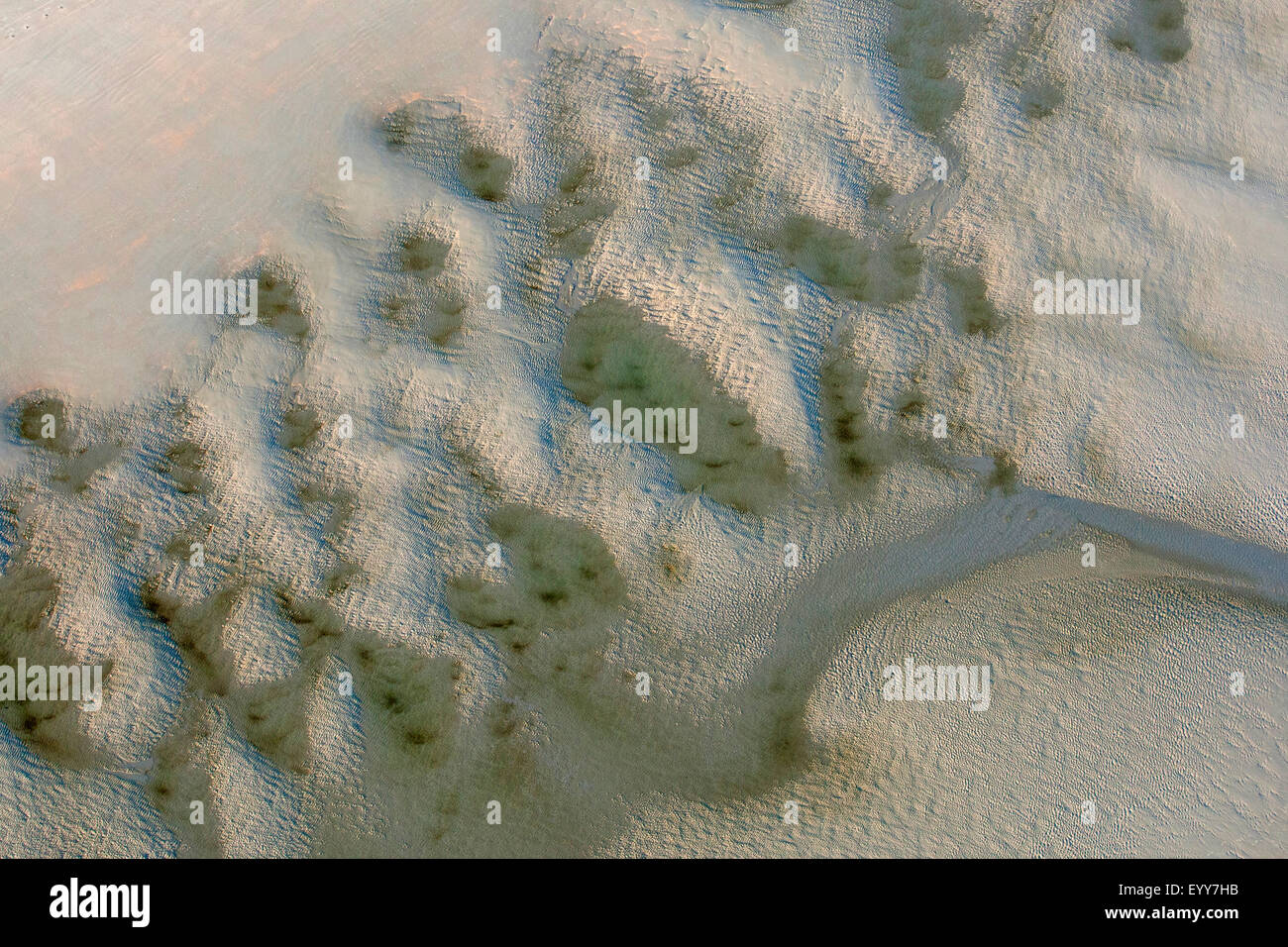 Vista aerea al sabbioso litorale del Mare del Nord, Belgio, Fiandre Foto Stock