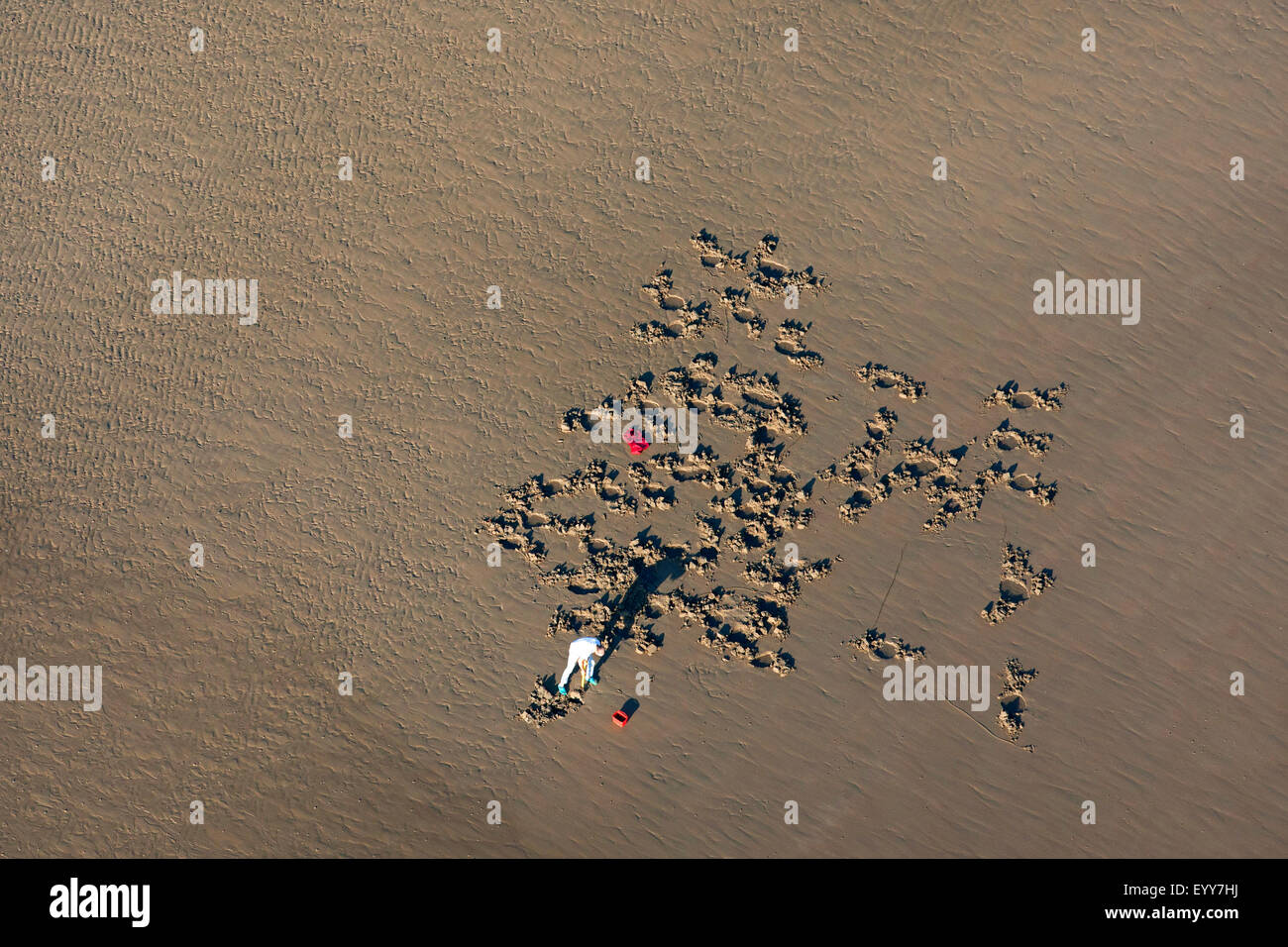 Il pescatore cercando lugworms, Belgio Fiandre Foto Stock