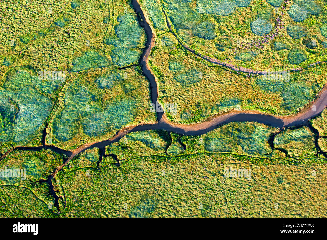 Vista aerea di prati di sale con ghebi, Belgio, Het Zwin Foto Stock