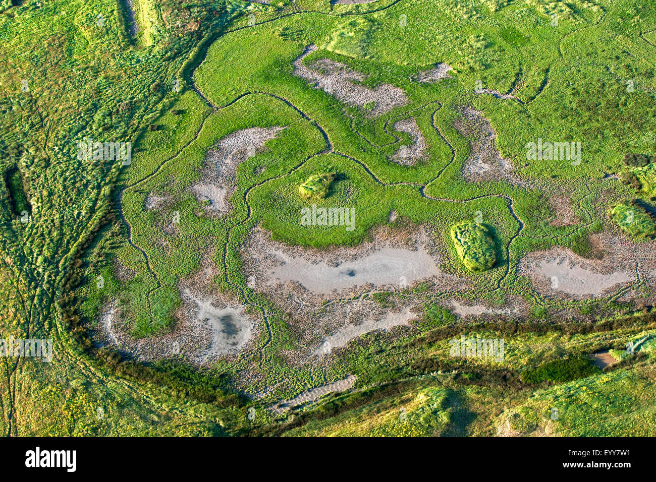 Vista aerea di prati di sale con ghebi e stagni a secco, Belgio, Het Zwin Foto Stock