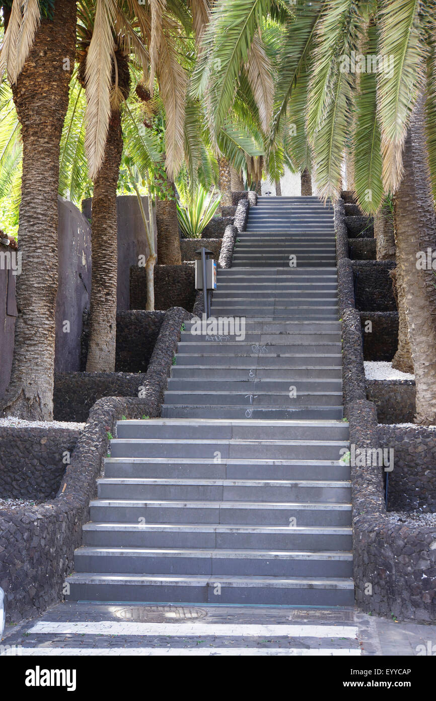 Scale rivestite con palme, Isole Canarie, Tenerife, Puerto De La Cruz Foto Stock
