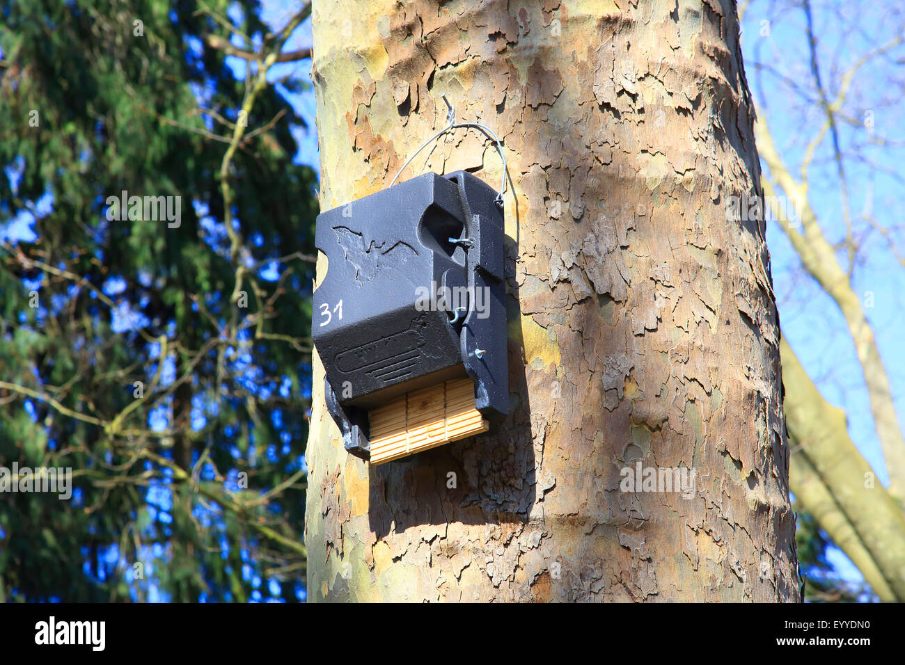 Bat house in corrispondenza di un albero, Germania Foto Stock
