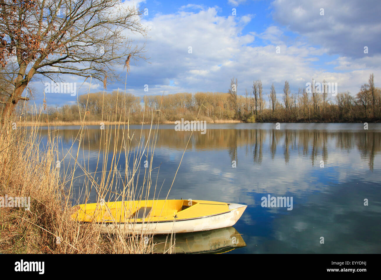 Paesaggio presso il vecchio Reno con la barca in primavera , Germania, Baden-Wuettemberg Foto Stock