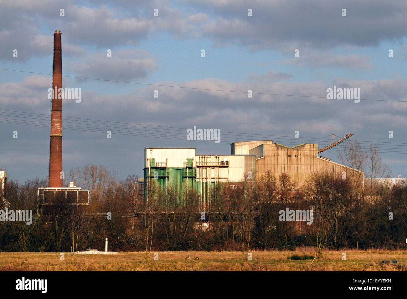 Fabbrica del vetro nella valle della Ruhr, in Germania, in Renania settentrionale-Vestfalia, la zona della Ruhr, Essen Foto Stock