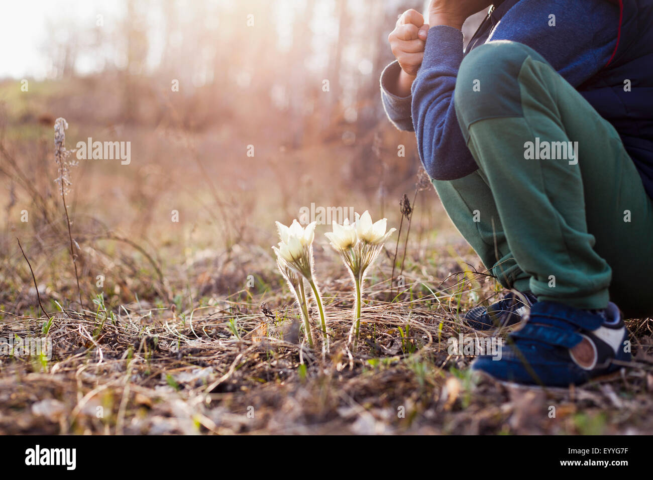 Mari ragazzo accovacciato vicino a fiori in foresta Foto Stock