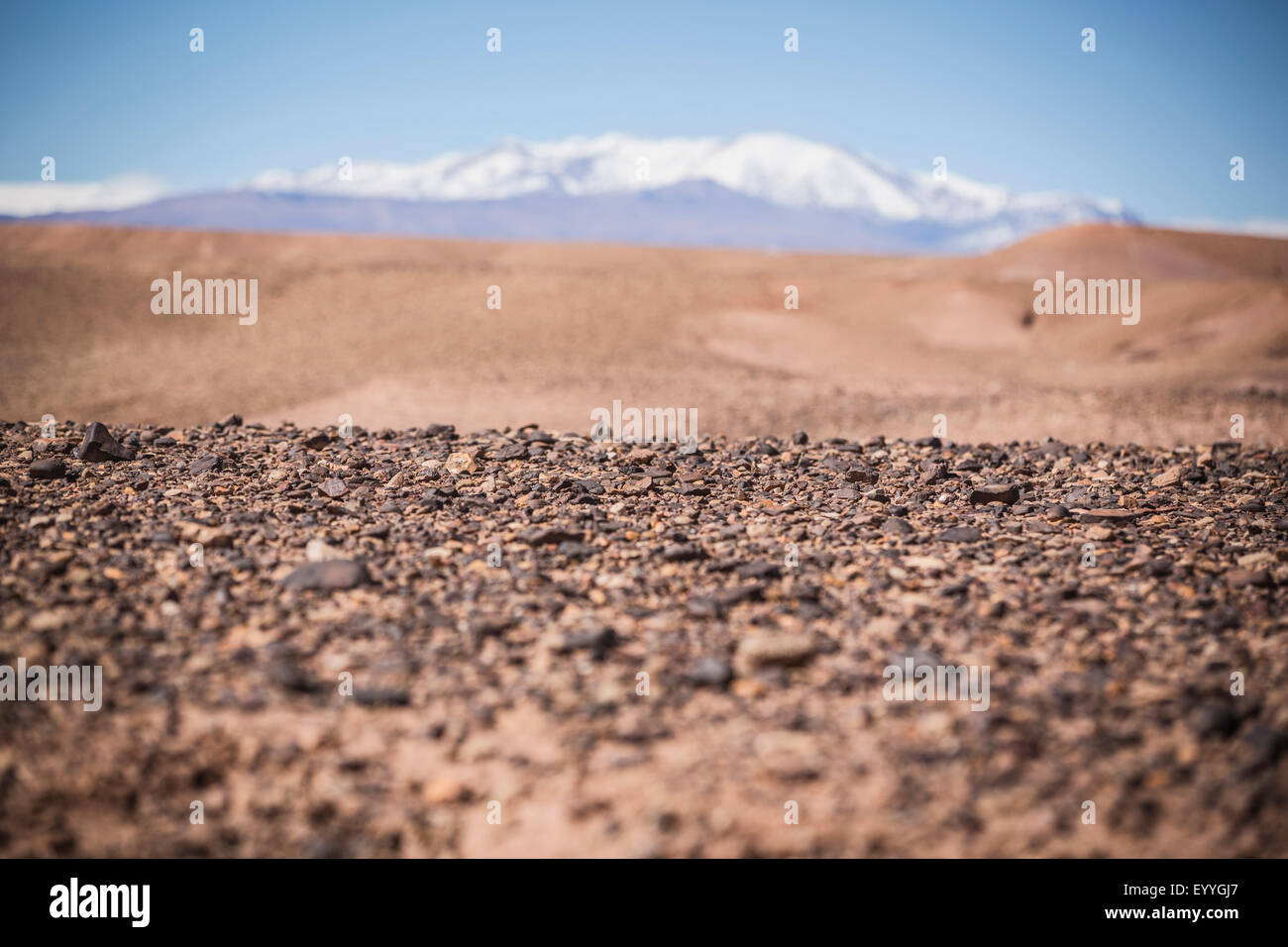 La superficie di visualizzazione a livello di campo di ghiaia e deserto remoto Foto Stock