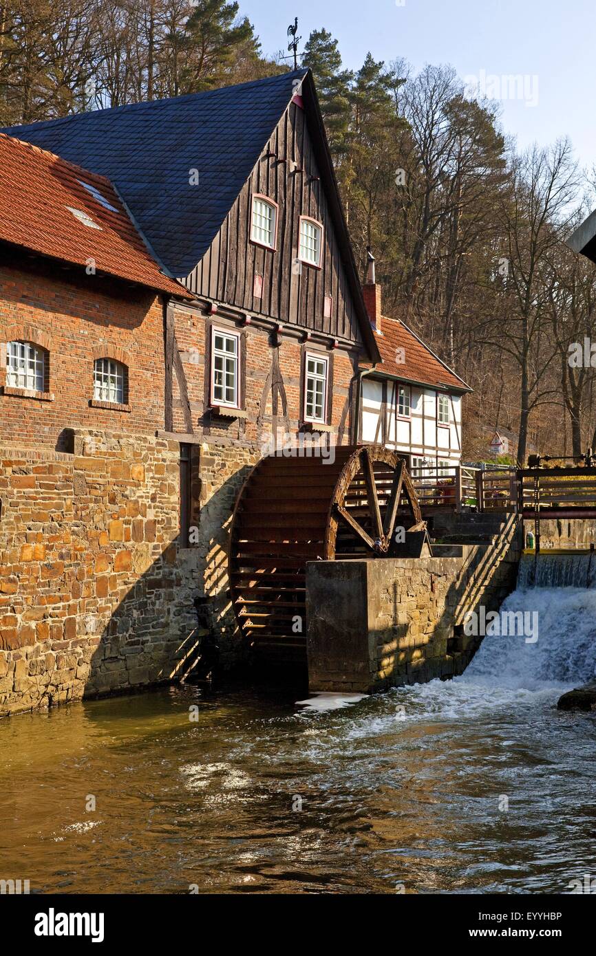 Niederbergheim mulino ad acqua al fiume Moehne, in Germania, in Renania settentrionale-Vestfalia, Sauerland, Warstein Foto Stock