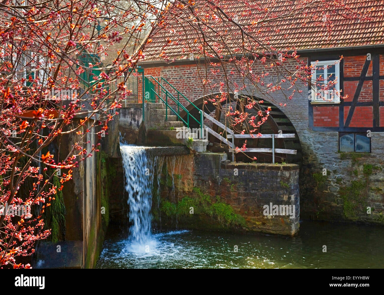 Stueting's Mill in Belecke, in Germania, in Renania settentrionale-Vestfalia, Sauerland, Warstein Foto Stock