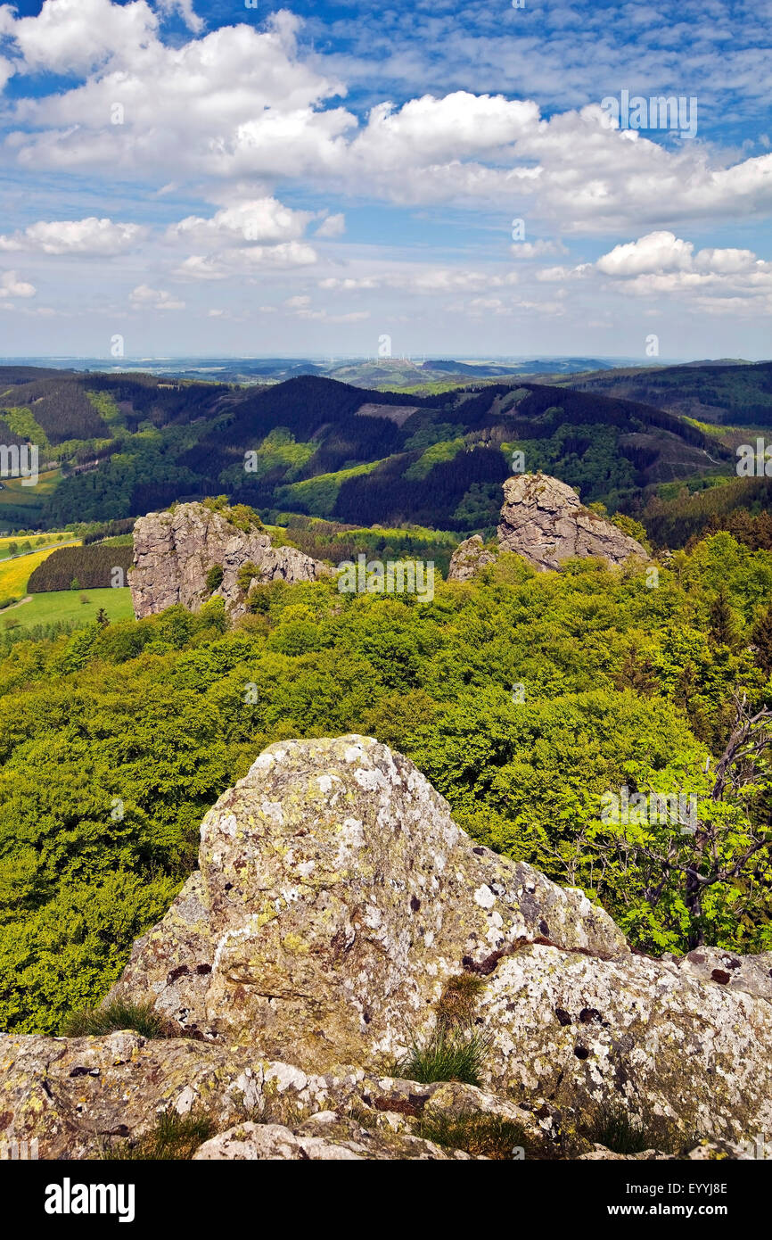 Vista dalla formazione di roccia Feldstein a Bruchhauser Steine, in Germania, in Renania settentrionale-Vestfalia, Sauerland, Olsberg Foto Stock