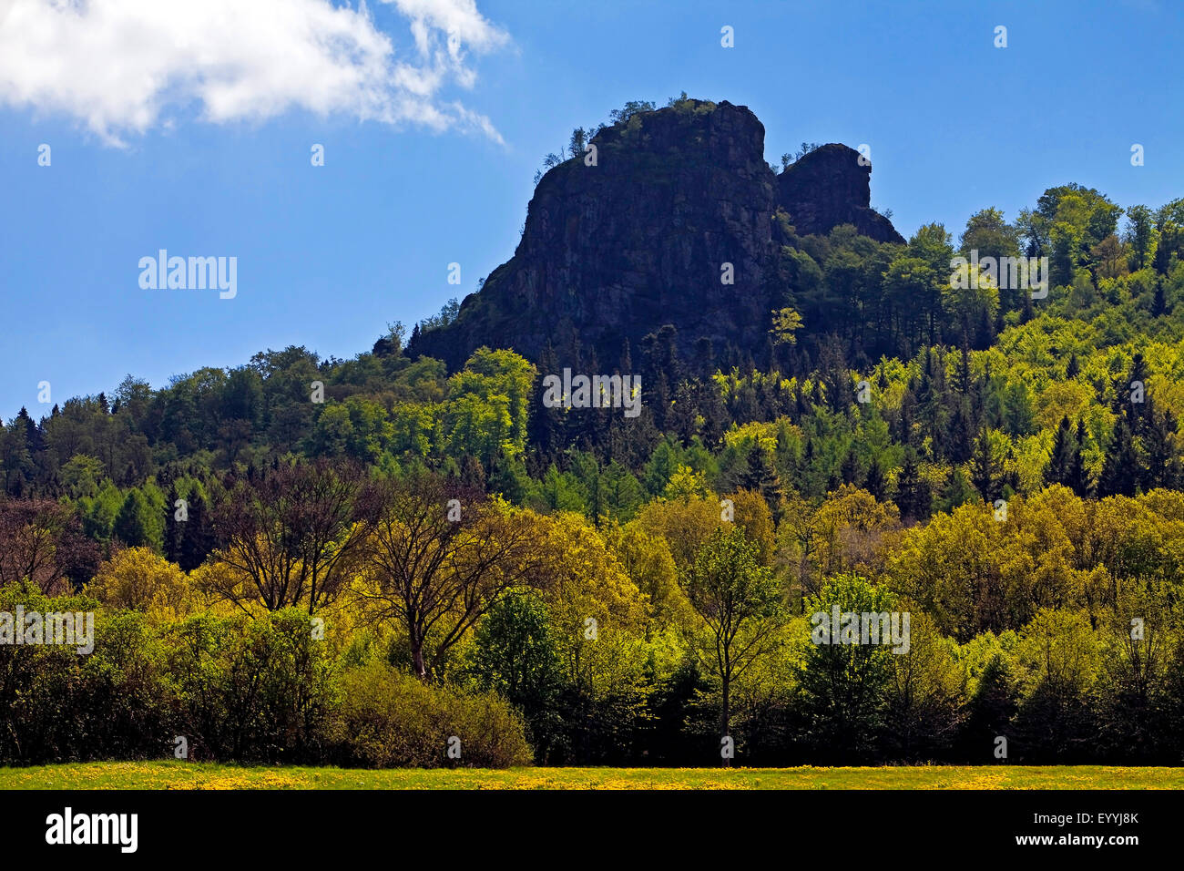 Formazione di roccia Bruchhauser Steine in primavera, in Germania, in Renania settentrionale-Vestfalia, Olsberg Foto Stock