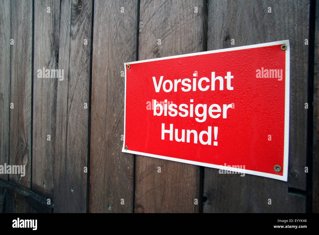 Segnale di avvertimento "vizioso dog' in corrispondenza di una parete in legno, Germania Foto Stock