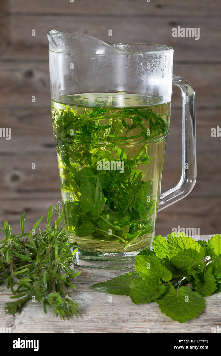 Melissa, giardino balsamo (Melissa officinalis), tè da melissa e goosegrass, Germania Foto Stock