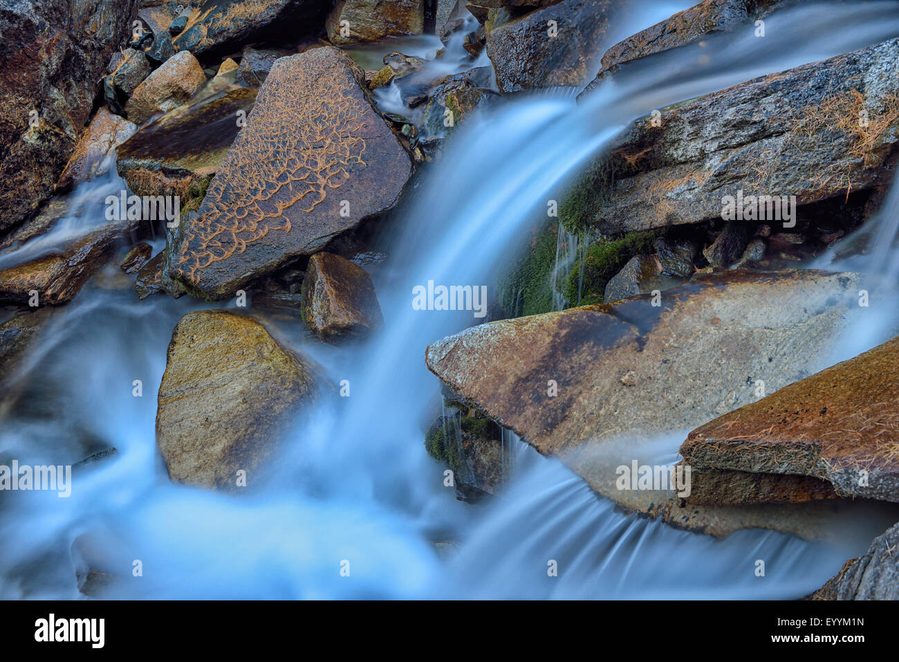 Mountain Creek con rocce coperte di aghi di larice, Italia, il Parco Nazionale del Gran Paradiso Foto Stock