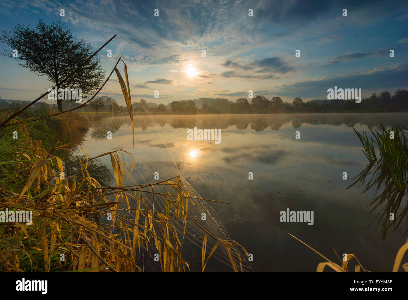 Lago di sunrise, in Germania, in Sassonia, Vogtland, Jocketa Foto Stock