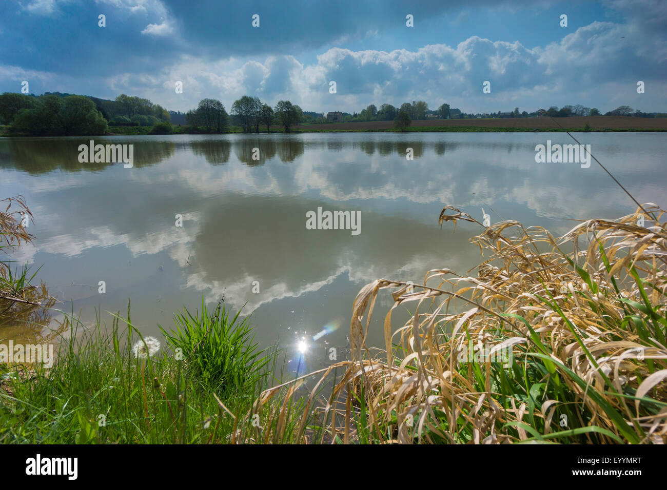 Nuvole mirroring in un lago, in Germania, in Sassonia, Vogtland, Jocketa Foto Stock