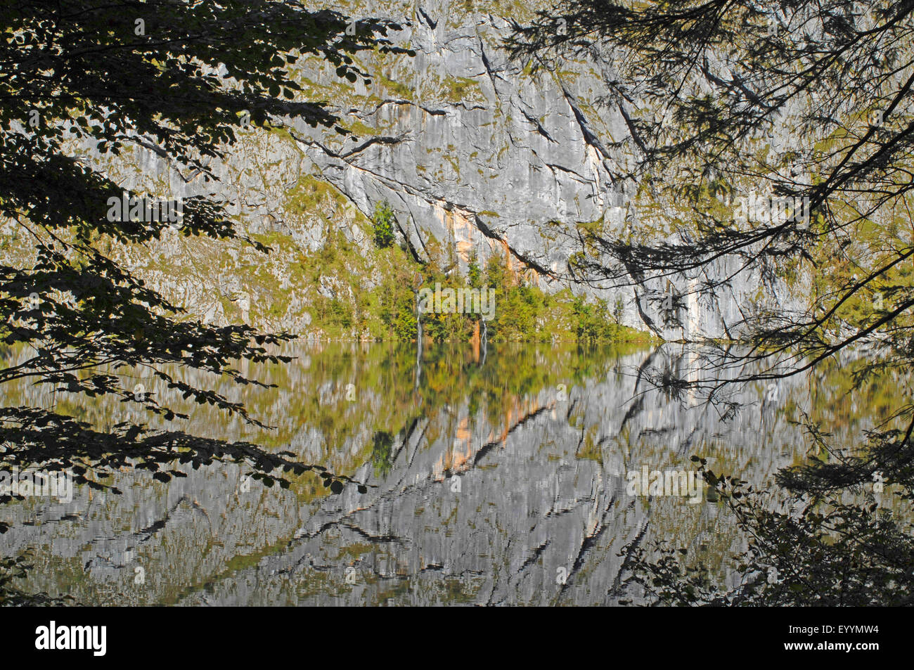 Sulle Alpi di Berchtesgaden mirroring in lago Koenigssee, in Germania, in Baviera, il Parco Nazionale di Berchtesgaden Berchtesgaden Foto Stock