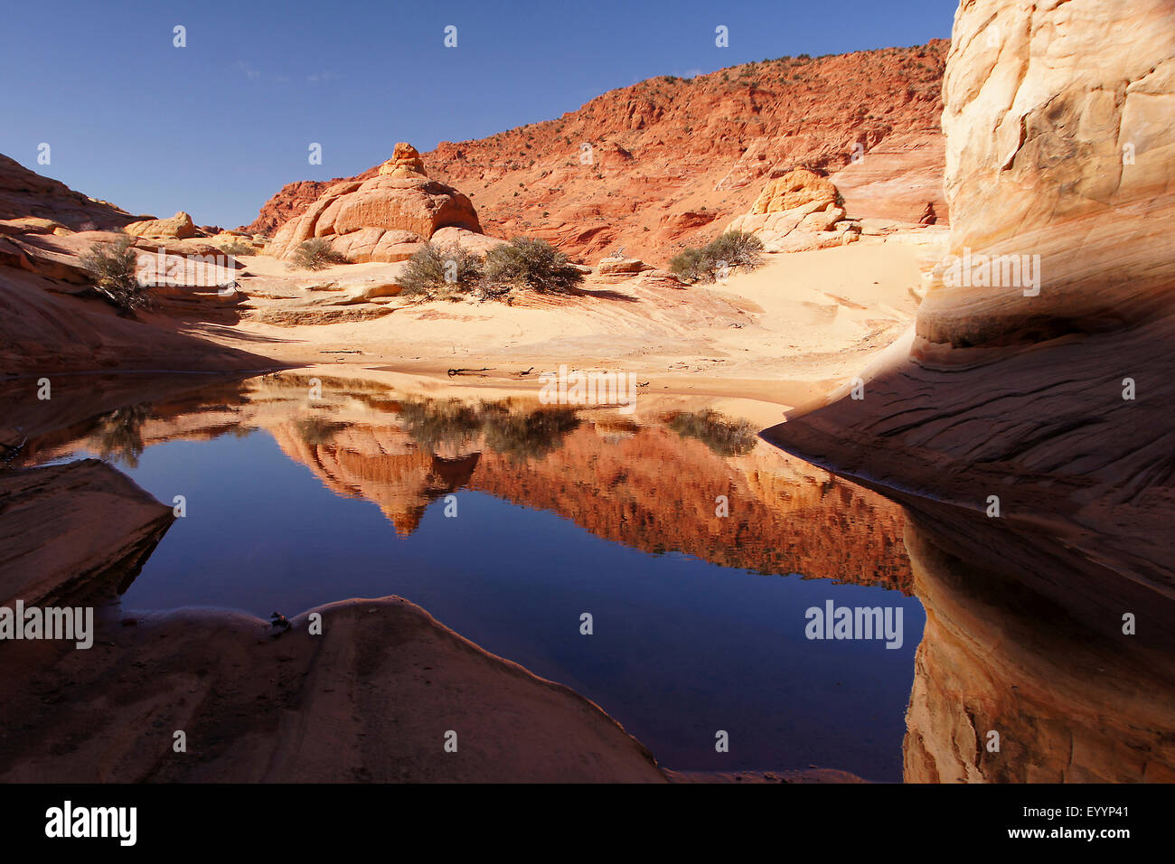 Sabbia rock formazione mirroring in un lago, STATI UNITI D'AMERICA, Arizona, Vermiglio scogliere monumento nazionale Foto Stock