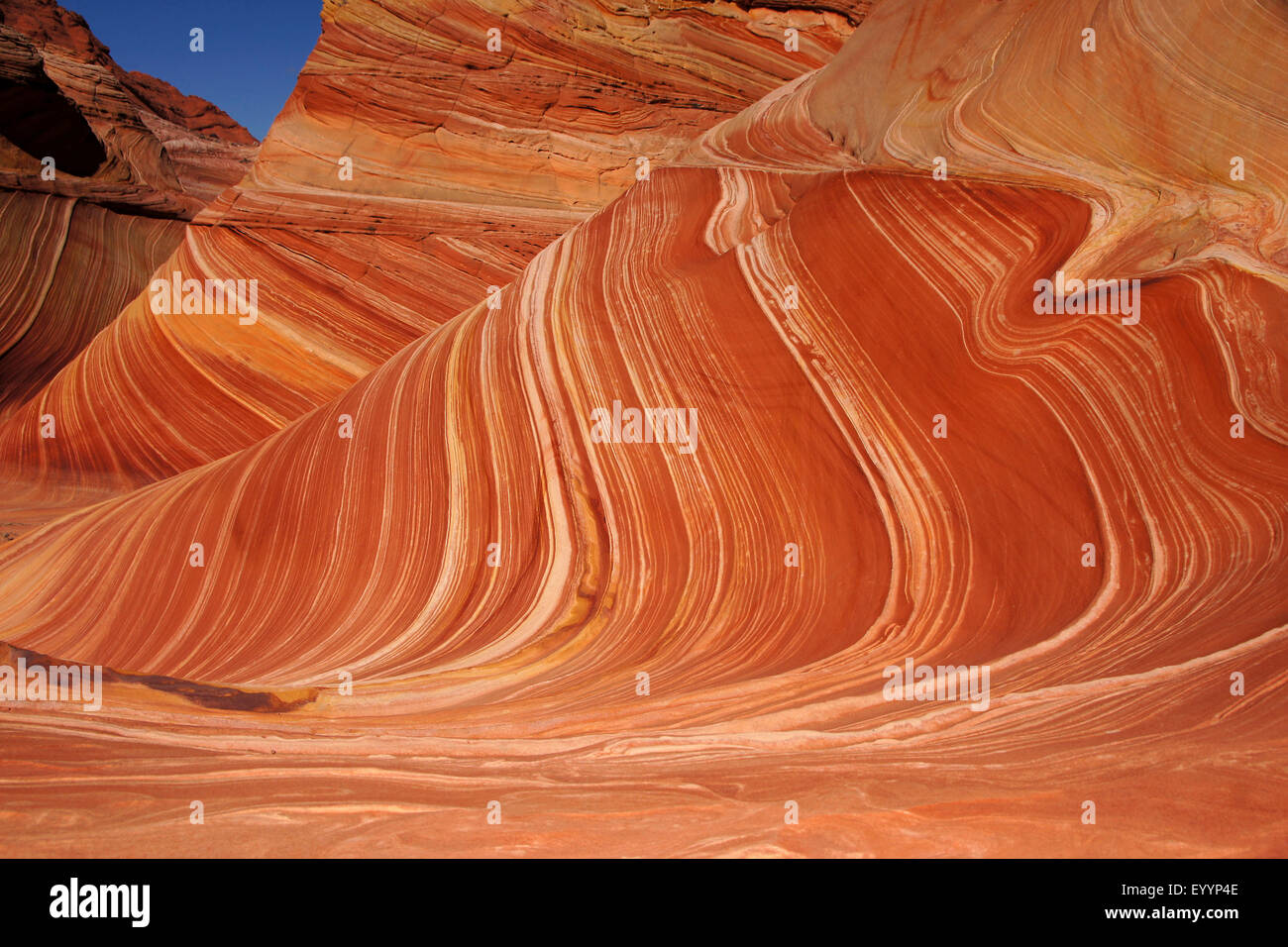 L'Onda, roccia arenaria formazione di Vermiglio scogliere monumento nazionale, USA, Arizona, scogliere vermiglio Foto Stock