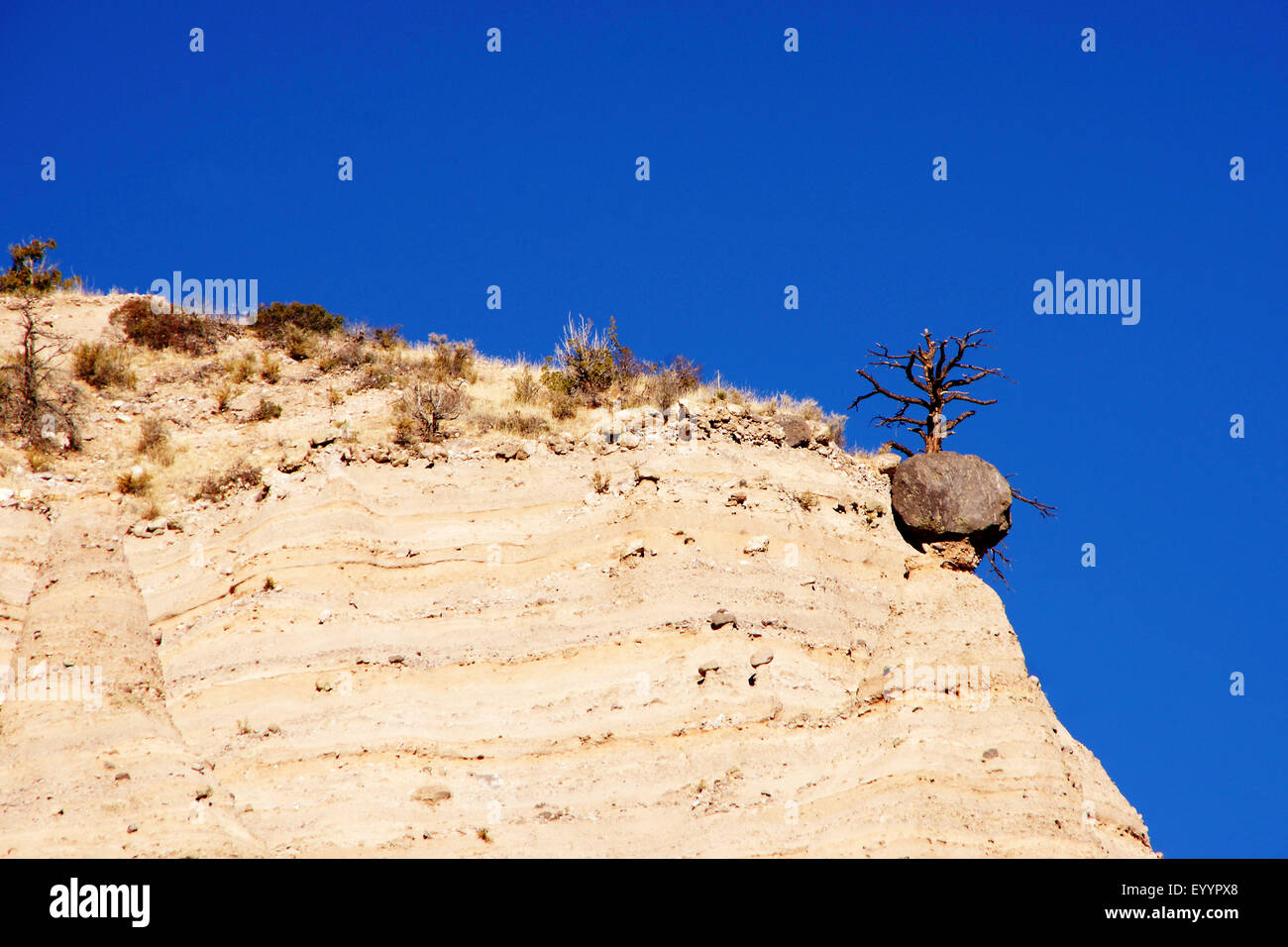 Conifere sul pendio con cielo privo di nuvole, USA, New Mexico, Kasha-Katuwe tenda rocce monumento nazionale Foto Stock