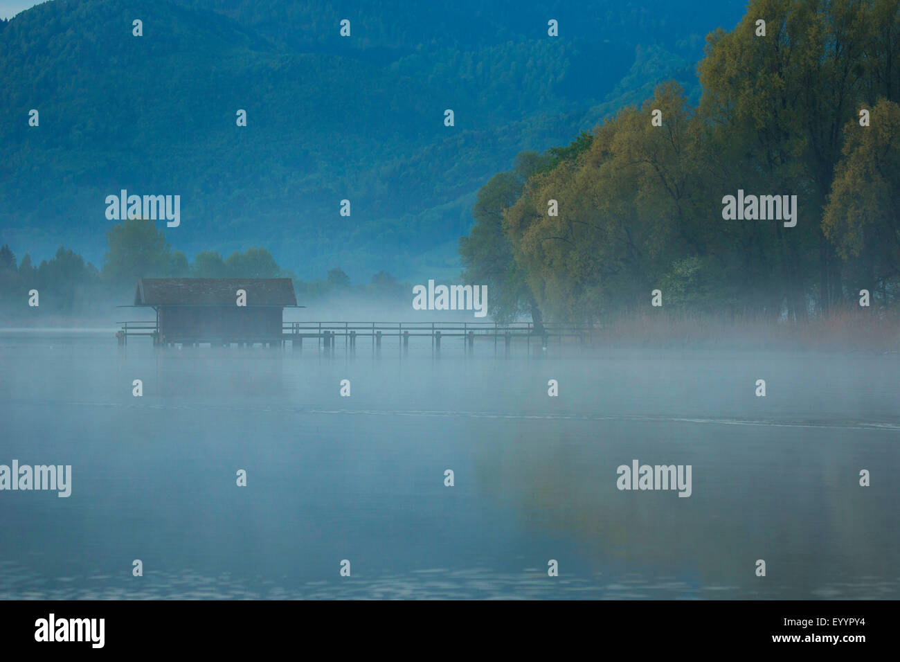 Nebbia ascendente all'alba sul lago Chiemsee, in Germania, in Baviera, il Lago Chiemsee Foto Stock