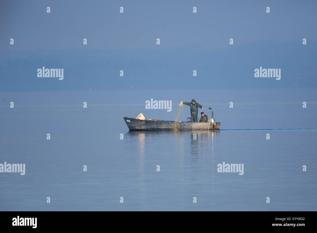 Coregonines, lago whitefishes (Coregoninae), pescatori mettere giù una rete da pesca per coregonines, in Germania, in Baviera, il Lago Chiemsee Foto Stock