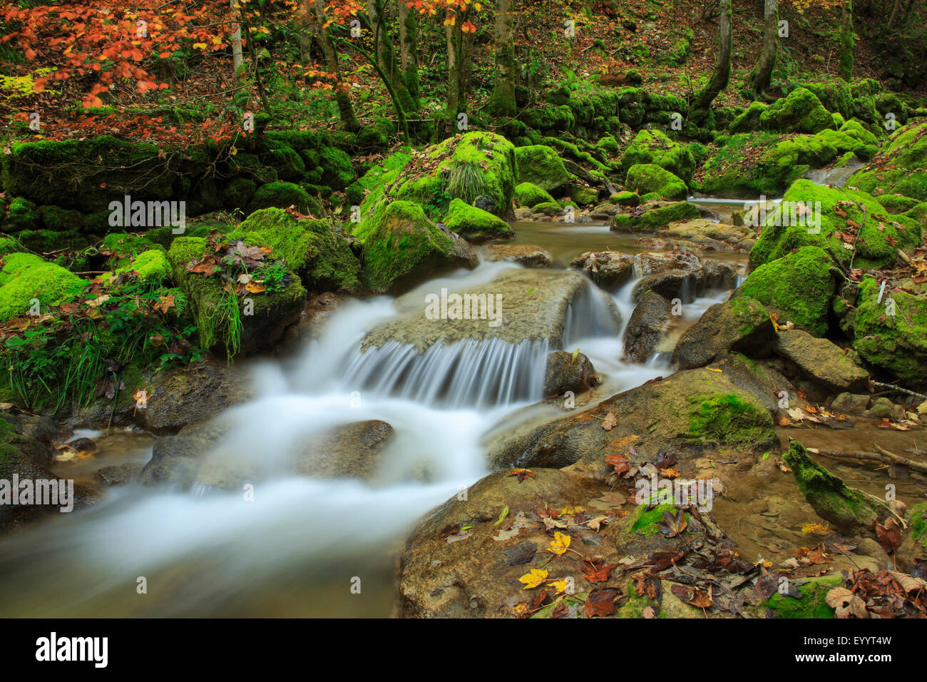 Cascata nella valle Twannbach, Svizzera Foto Stock