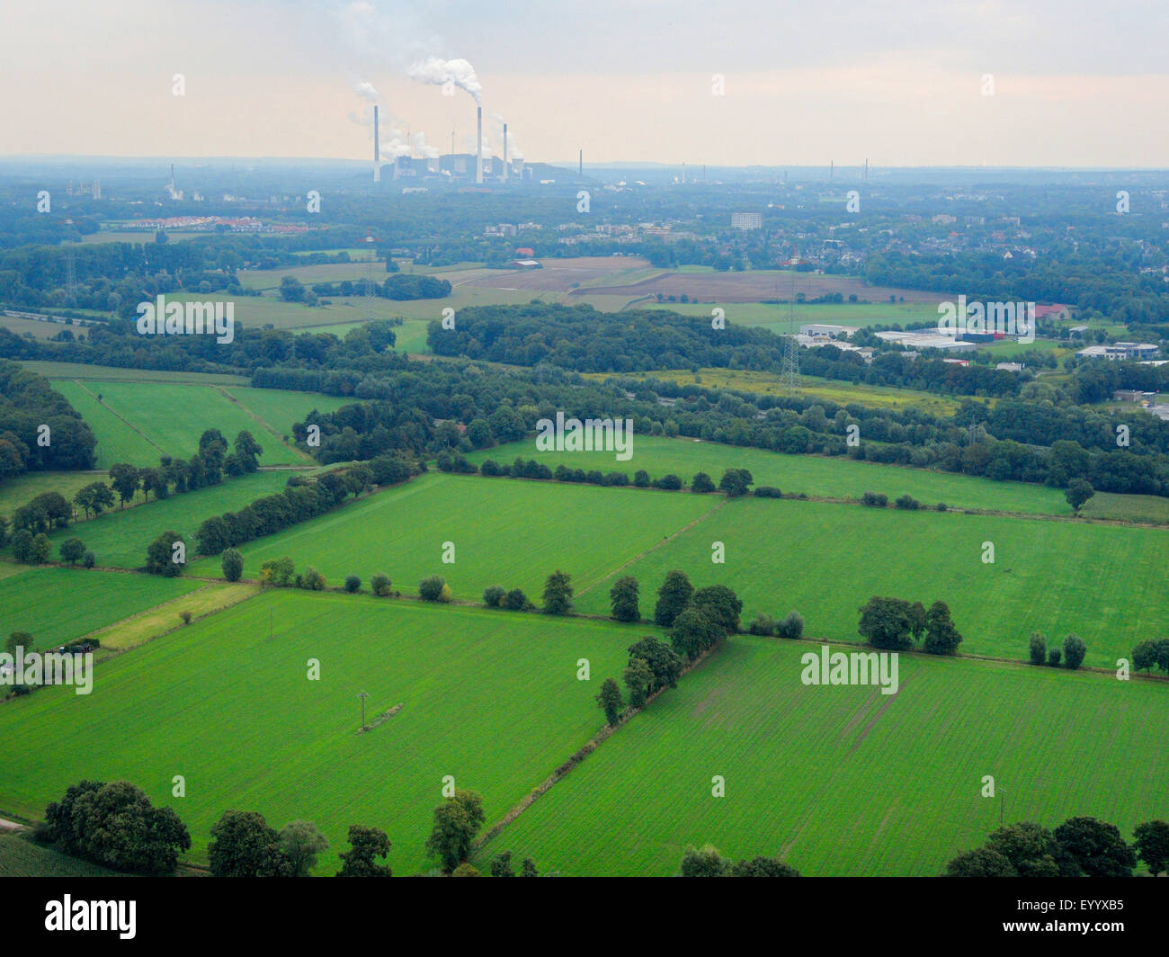Vista aerea del campo di paesaggio, power station Scholven in background, in Germania, in Renania settentrionale-Vestfalia, la zona della Ruhr, Bottrop Foto Stock