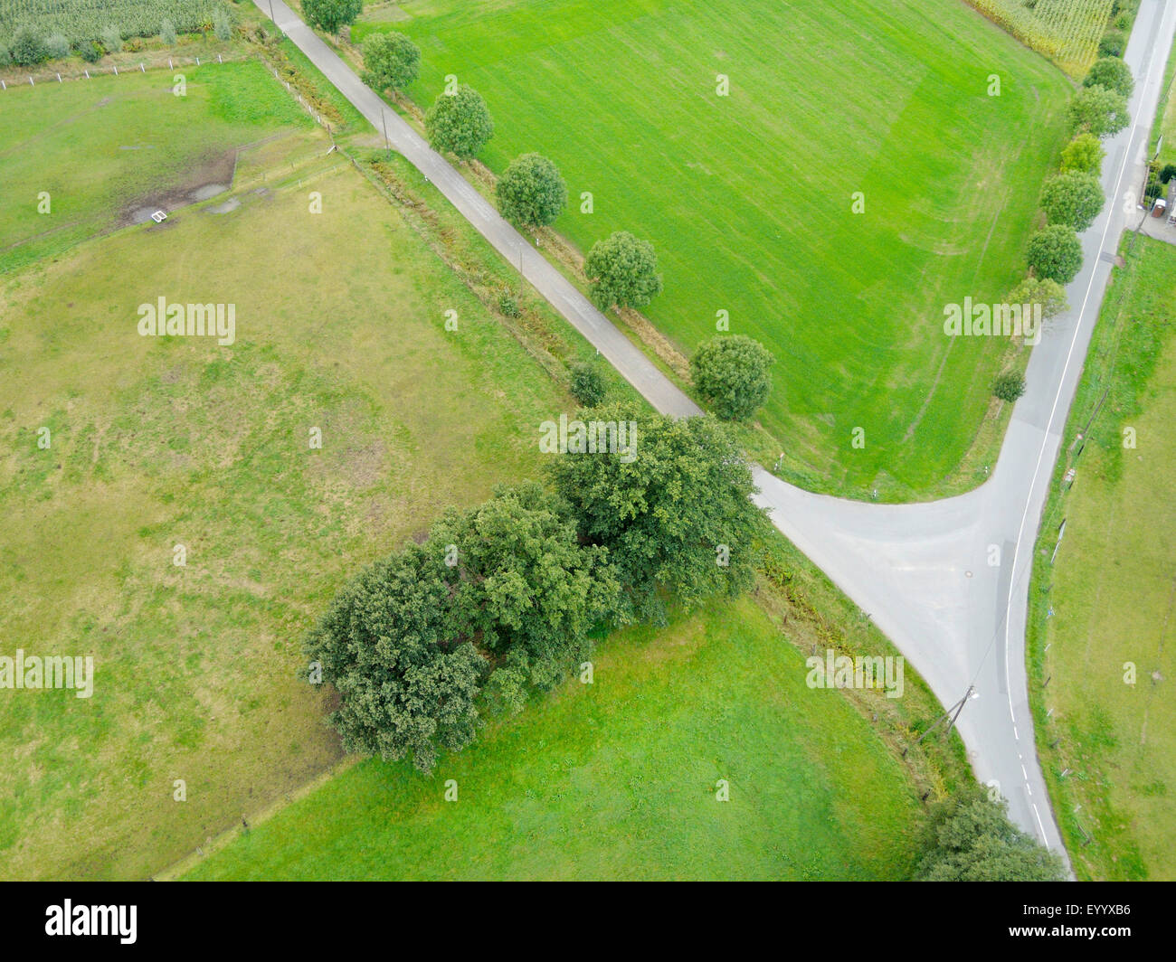 Vista aerea di forca in un percorso, in Germania, in Renania settentrionale-Vestfalia, la zona della Ruhr, Bottrop Foto Stock