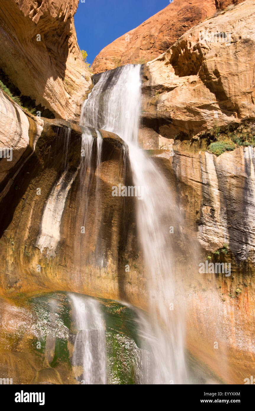 Calf Creek Falls, Stati Uniti d'America, Utah, Scalone Escalante monumento nazionale Foto Stock