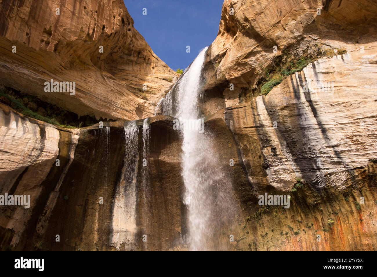 Calf Creek Falls, Stati Uniti d'America, Utah, Scalone Escalante monumento nazionale Foto Stock