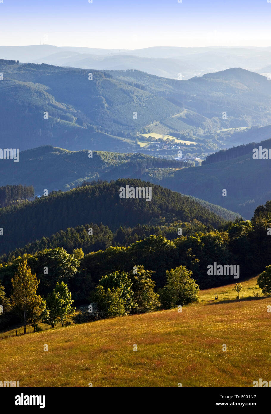 Lookout dalla torre Schomberg oltre il paesaggio nei pressi di Wildewiese, in Germania, in Renania settentrionale-Vestfalia, Sauerland, Sundern Foto Stock