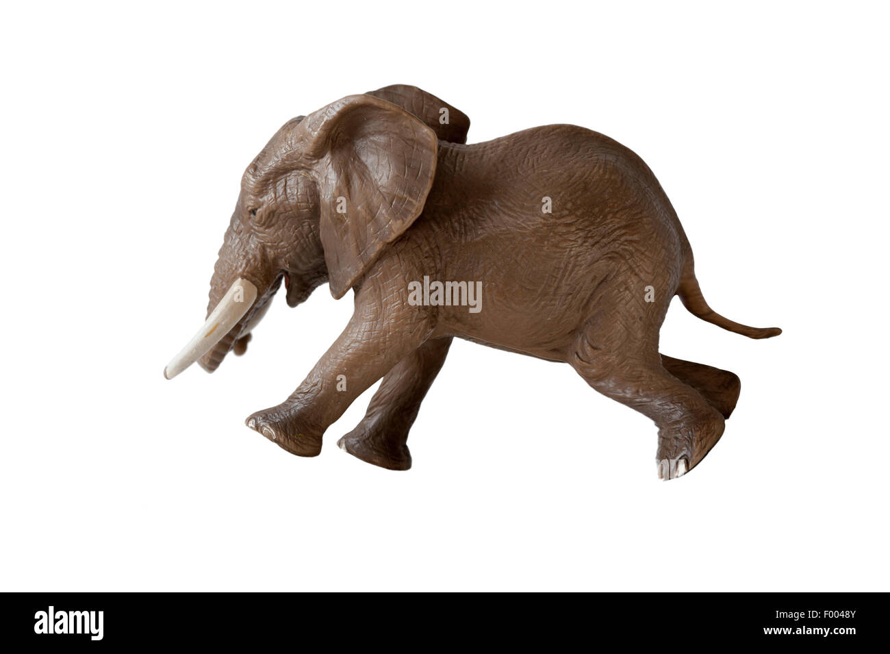 Elefante isolato in esecuzione Foto Stock