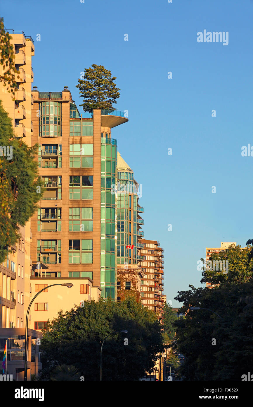 Albero cresce sulla cima di un alto casa in città, Canada Vancouver Foto Stock